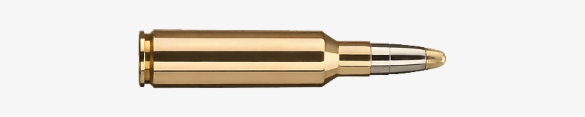 Evolution-bullet - Balle De Carabine Png, transparent png download