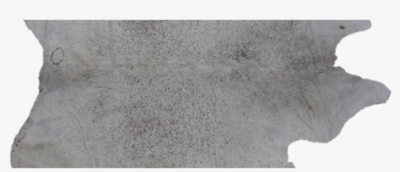 All About Leather - Concrete, transparent png download