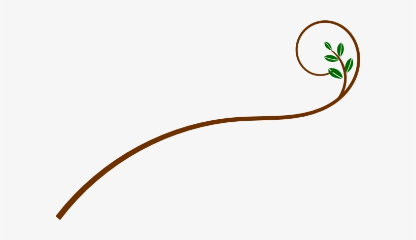 Swirl Branches Clipart, transparent png download