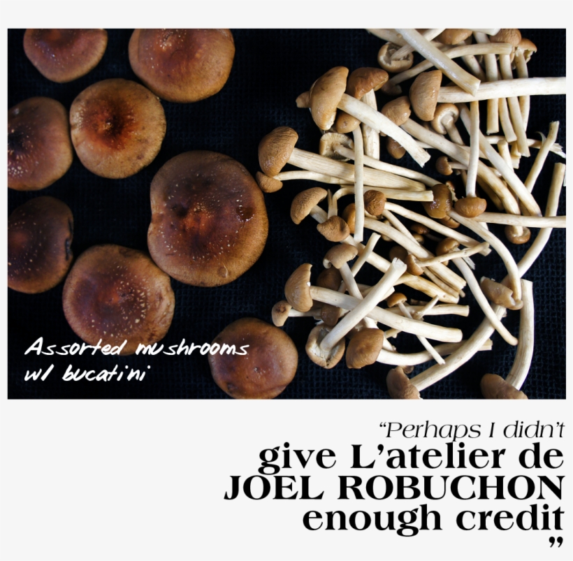 Mushroom Pasta Featured Header - Magic Mushrooms, transparent png download