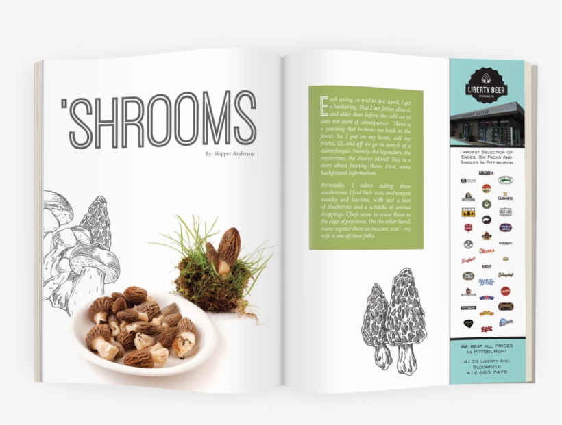 Hunting The Elusive Morel - Natural Foods, transparent png download