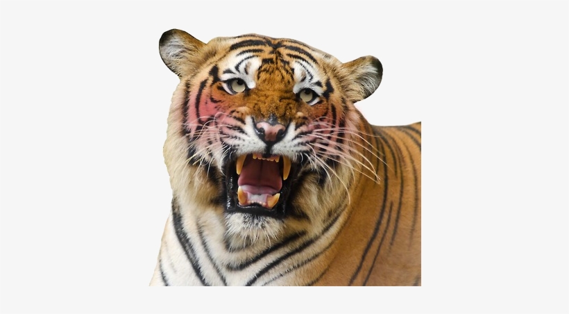 Grft Blushing - Uncle Grandpa Mad Libs, transparent png download