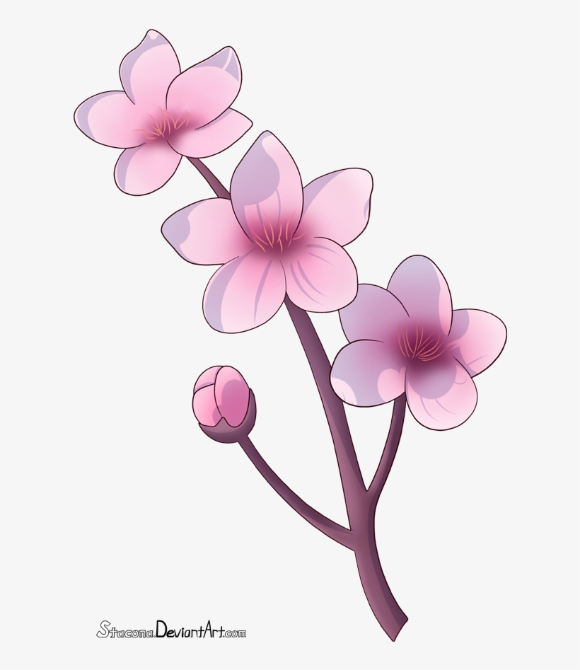 Cherry Blossom Branch By Stacona - Dibujo Flor De Cerezo PNG Image