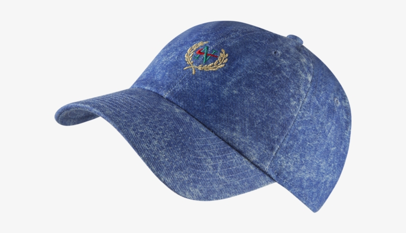 nike sb flat cap