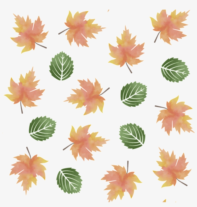 Yuca Flor Y Hoja Cartoon Png De Antecedentes - Portable Network Graphics, transparent png download