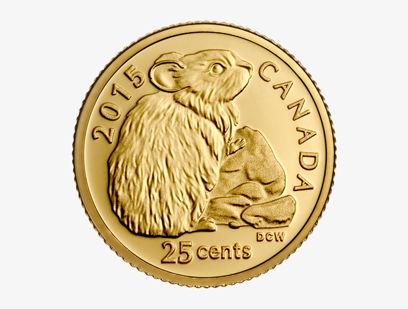 Gold Coin, transparent png download