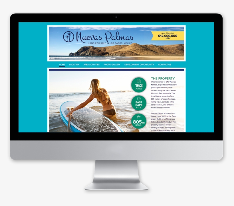 Nuevas Palmas - Led-backlit Lcd Display, transparent png download