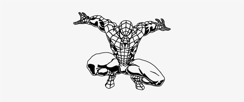 Cor Do Fundo - Spider Man, transparent png download
