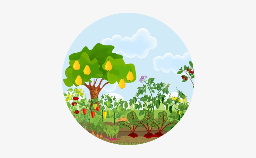 Newsletter - Different Fruit Trees, transparent png download