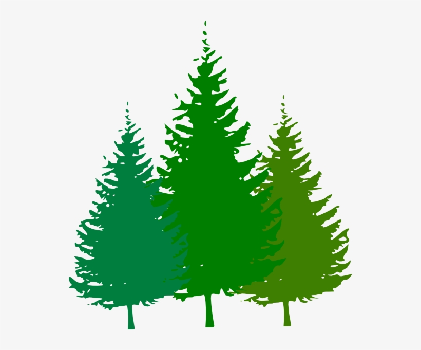 Forest - Forest Clipart, transparent png download