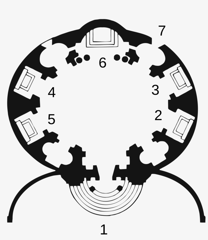 Image Transparent Library Collection Of Free Arangoes - S Andrea Al Quirinale By Bernini Plan, transparent png download