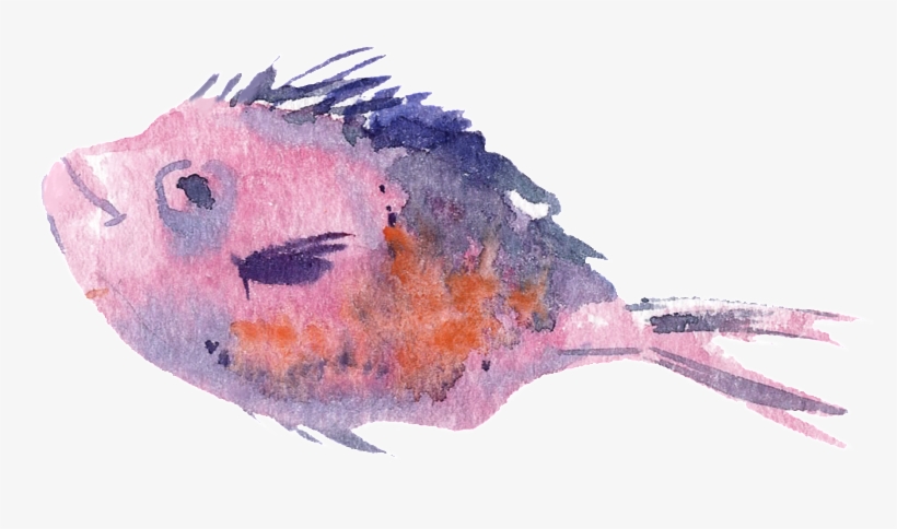 Pink Watercolor Hand Painted Fish Transparent - Blowfish Png Image | Transparent Png Free Download On Seekpng