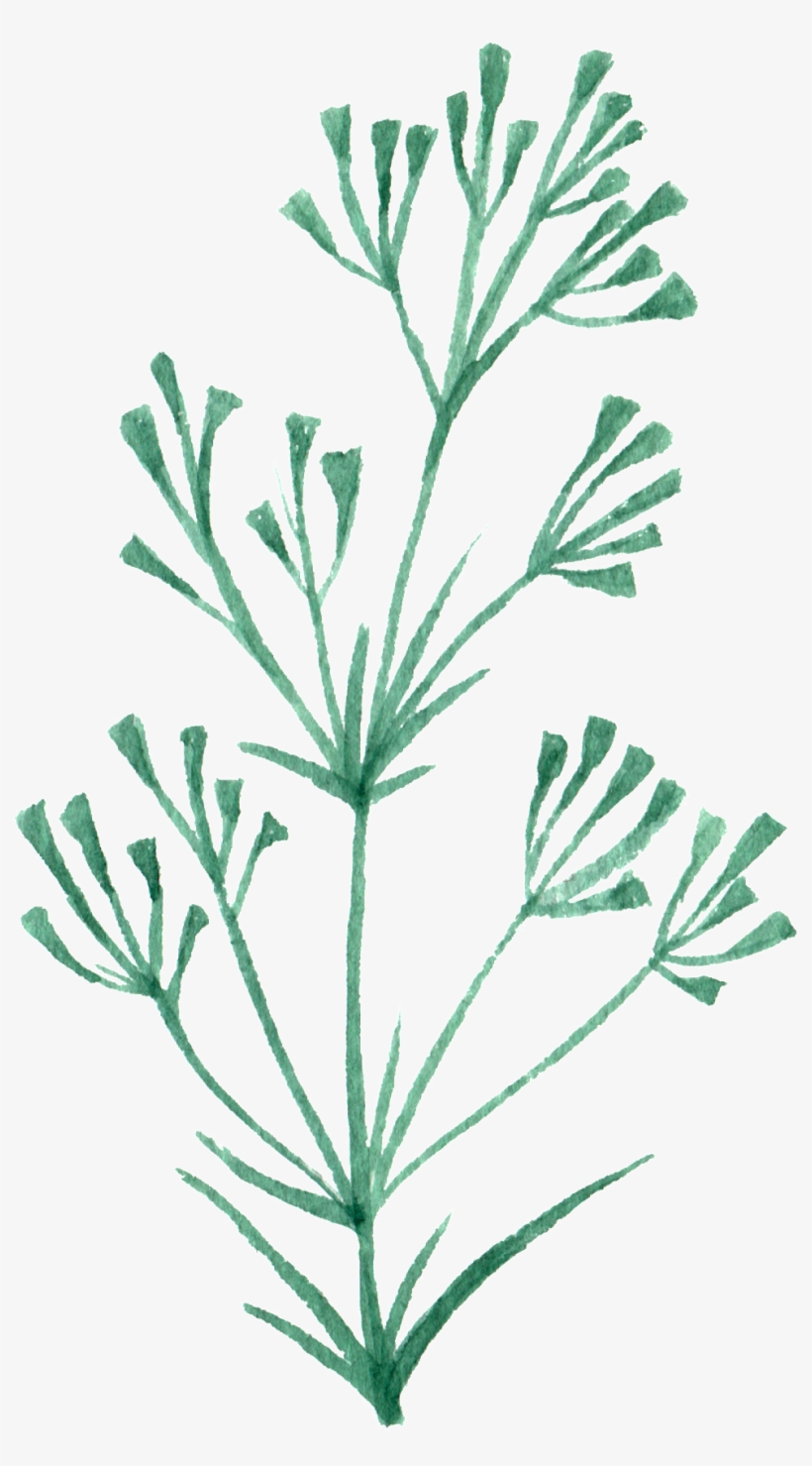 Hand Painted A Green Plant Flower Branch Watercolor - Green, transparent png download