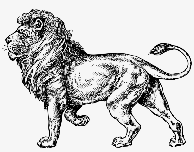 Lion Svg Clip Arts 600 X 442 Px, transparent png download