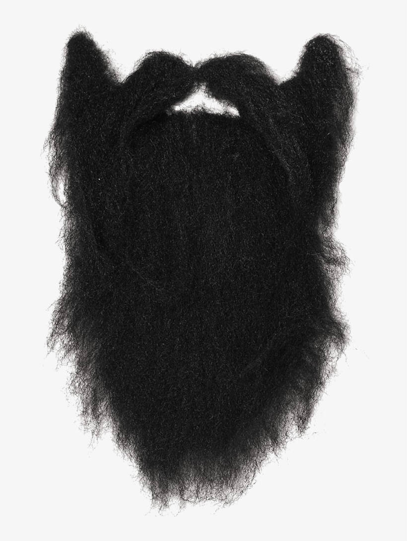 Realistic Mustache Png Download - Long Black Beard Png PNG Image