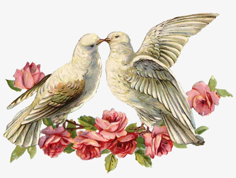 Today I Have An Image Of Two Doves With A Spray Of Love Dove Png PNG
