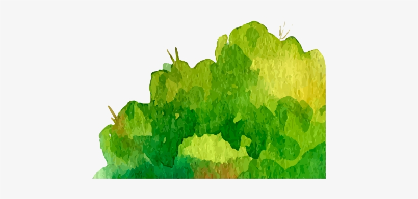 Read More - Illustration, transparent png download