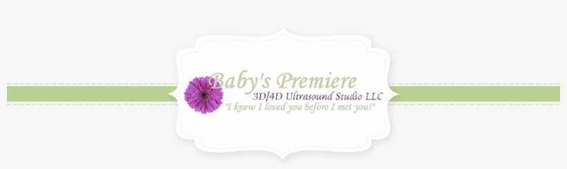 37 555 Icon Contact 14 Nov 2012 - Baby Pink Nyx, transparent png download