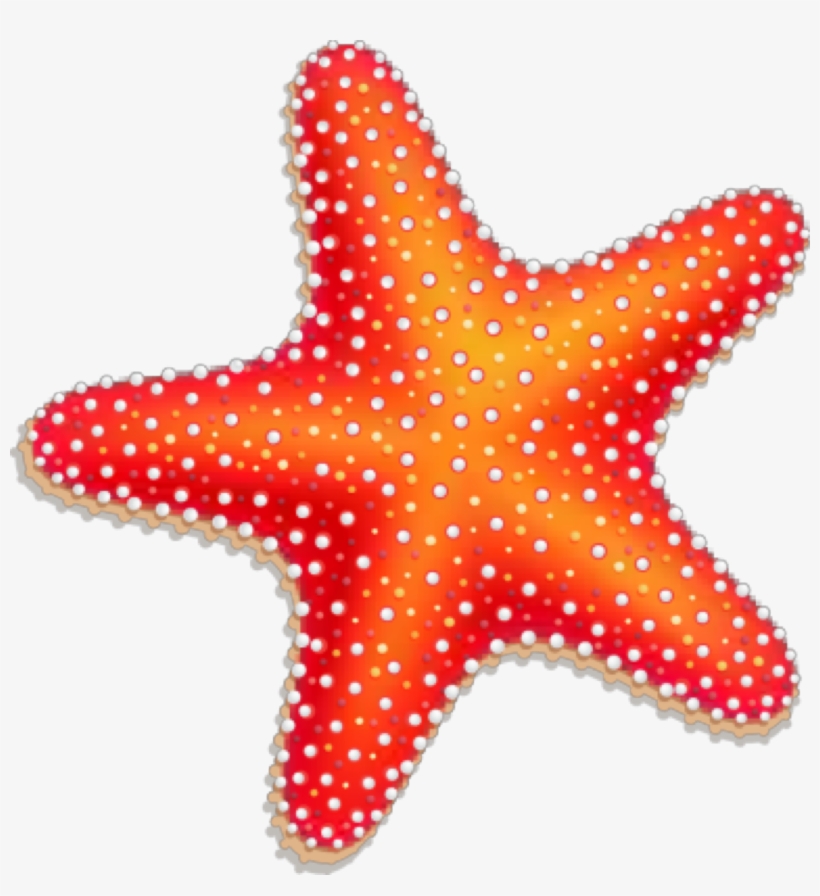 Pin By Monica Lucas On Signs Coastal - Clip Art Cute Starfish, transparent png download