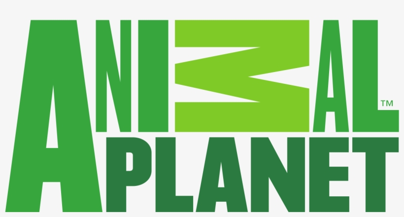Animal Planet - Animal Planet Logo Png, transparent png download