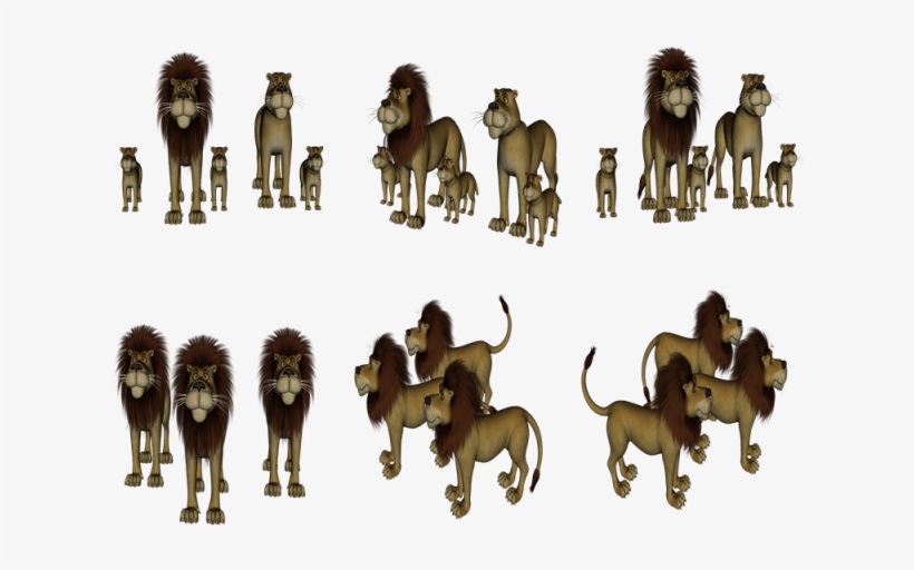 Lions And Familys, Lion, Model, Image Model Png And - Baboon, transparent png download