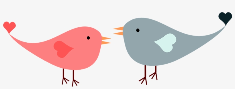 Love Birds Png - Transparent Background Love Birds Clipart Png, transparent png download