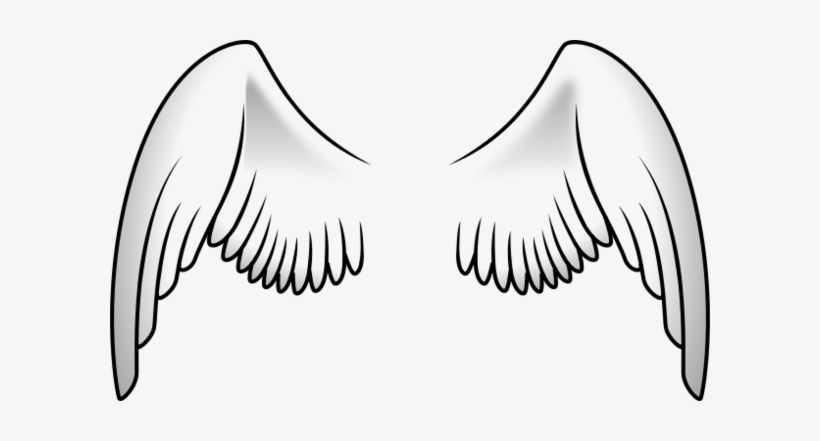 Wings Png - Wings Of Birds Clipart, transparent png download