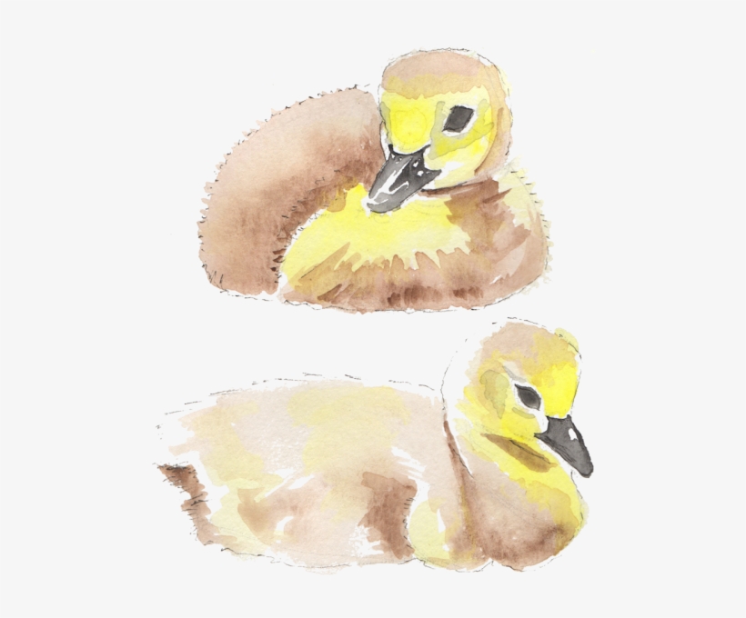 As Any Golfer, Park-goer Or Simply Anyone Who Has Been - Olde Rhinebeck Inn, transparent png download