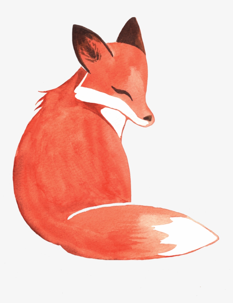 Weileash Watercolor Fox Available - Watercolor Fox, transparent png download