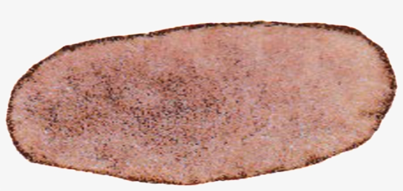 Brown Oval Hand Painted Watercolor Transparent Gourmet - Watercolor Painting, transparent png download