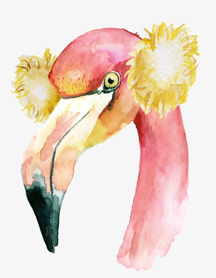 19258picuex 1024 X Oss Process=image/quality,q 70/watermark - Boho Flamingo Watercolor, transparent png download