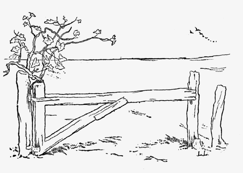 Digital Fence Clip Art - Line Art, transparent png download