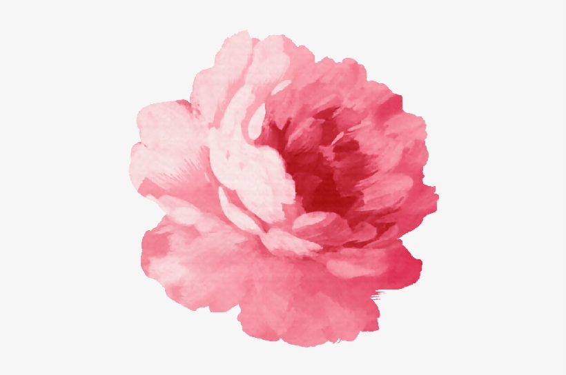 Shop From Unique Peony Stickers On Redbubble - Pink Flower Png, transparent png download