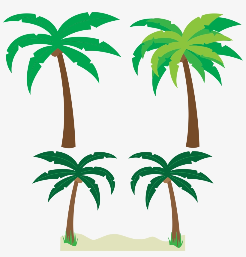 Png Library Stock Trees Big Image Png - Tropical Palm Trees Clipart, transparent png download