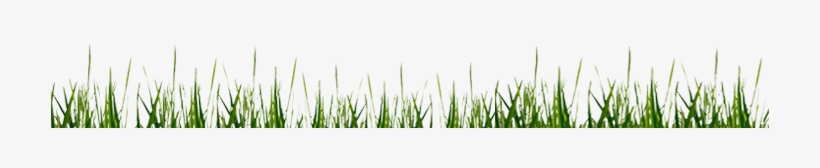 Download All The Soccer Grass Png, Vectors,clipart - Soccer Ball Grass Png, transparent png download