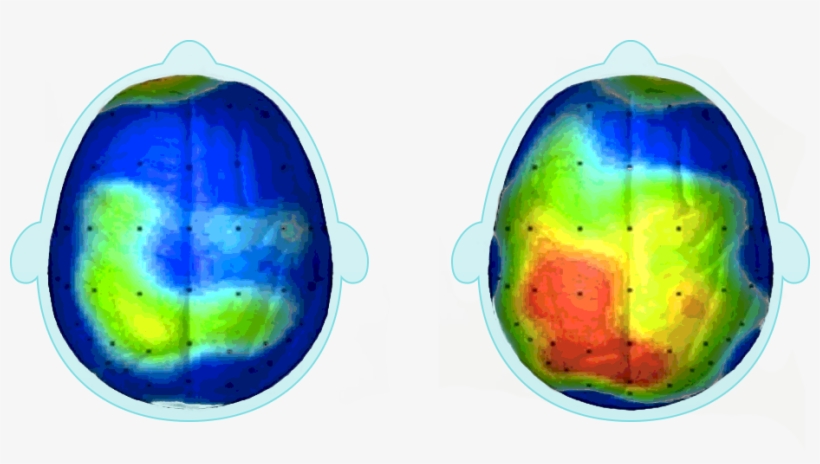 A Simple 20 Minute Walk Can Be Profoundly Stimulating - Brain With Physical Activity, transparent png download