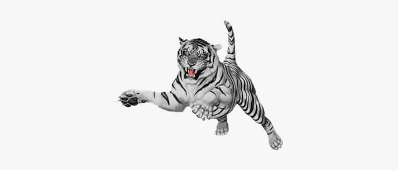 White-tiger - White Tiger Png, transparent png download