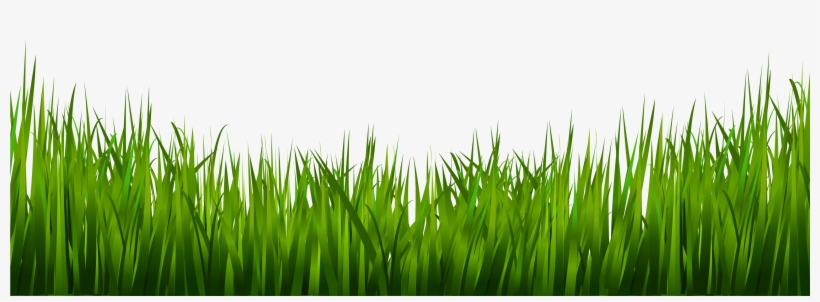 Share This Article - Grass Image Hd Png, transparent png download