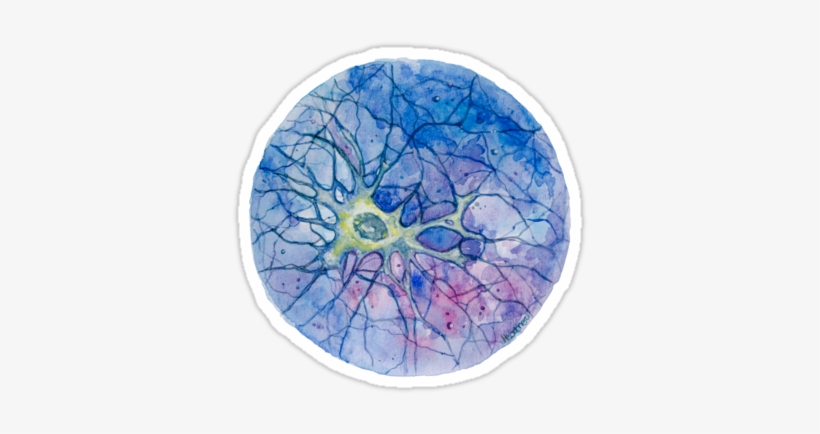Neuron Art For All Bio-science Geeks Neuron Sticker - Watercolor Mitochondria, transparent png download