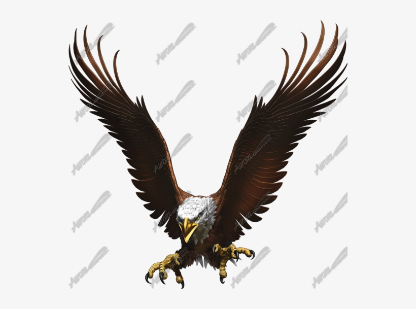 Go To Image - Golden Eagle, transparent png download