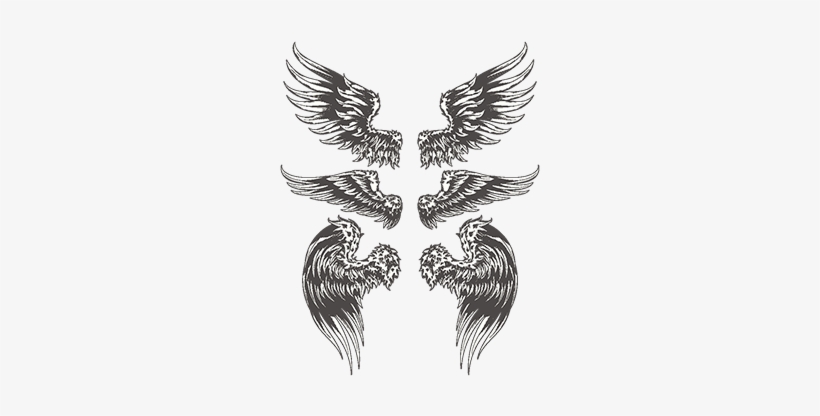 Set Of Vector Angelic Or Bird Wings, Flight, Set, Symbol - Vector Graphics, transparent png download