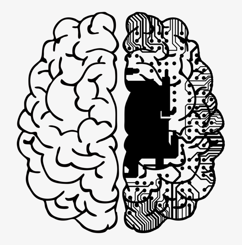 Line Art Human Brain Drawing - Cerebro Sopa De Letras, transparent png download