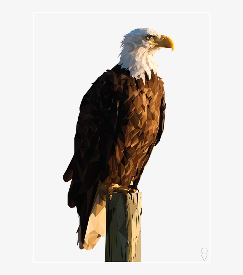 Bald Eagle Png Transparent Image - Perched Bald Eagle Png, transparent png download