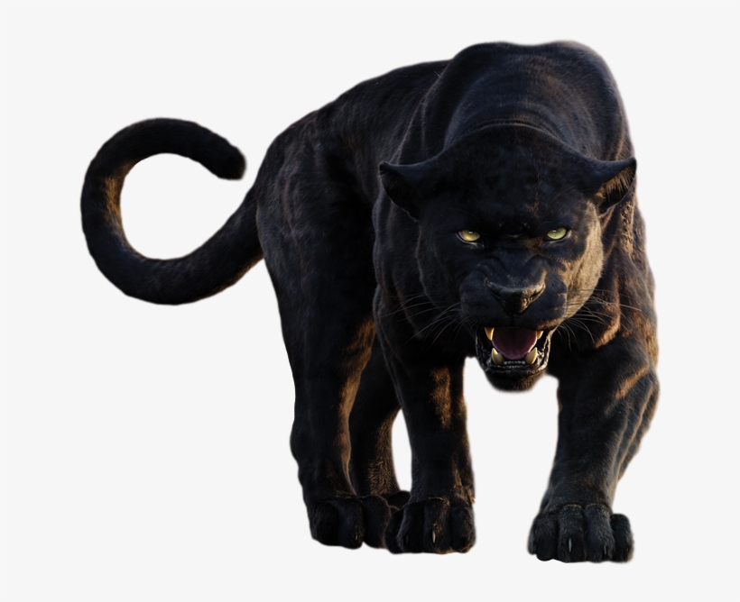 Banner Royalty Free Image Disney S Bagheera Background - Panther Png, transparent png download