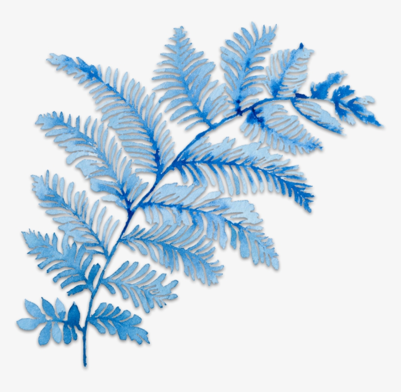 Ftestickers Art Watercolor Floral Branch Blue - Bts, transparent png download