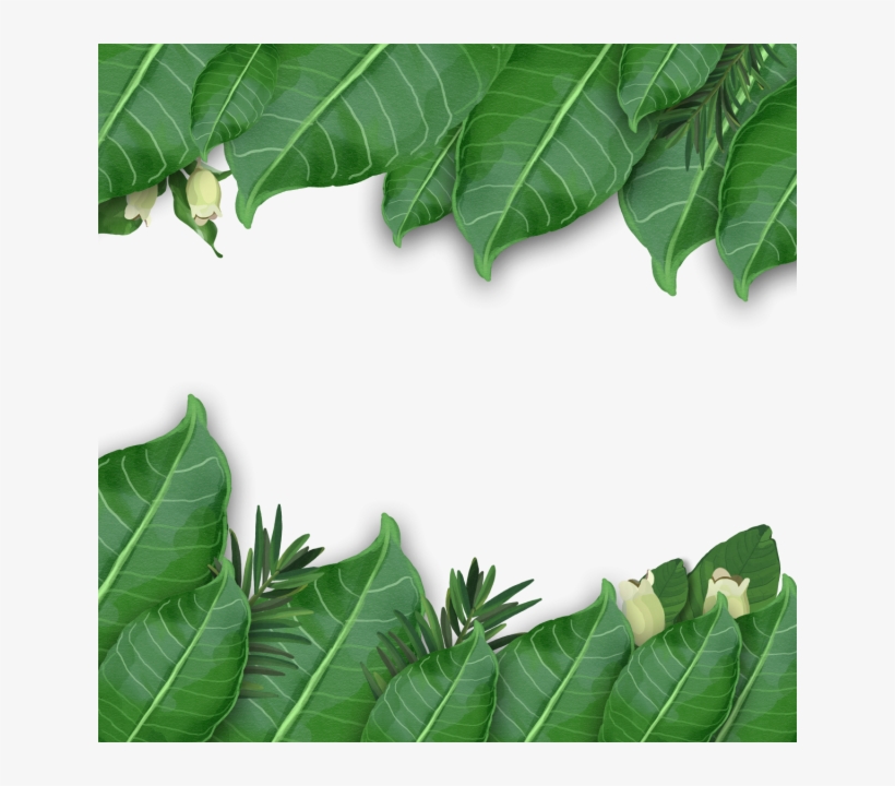 Tropical Leaf Watercolor Png - Тропические Листья Пнг, transparent png download
