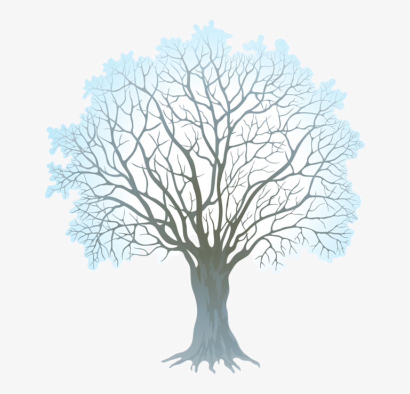 Clipart Winter Watercolor - Winter Tree Clipart Transparent Background, transparent png download