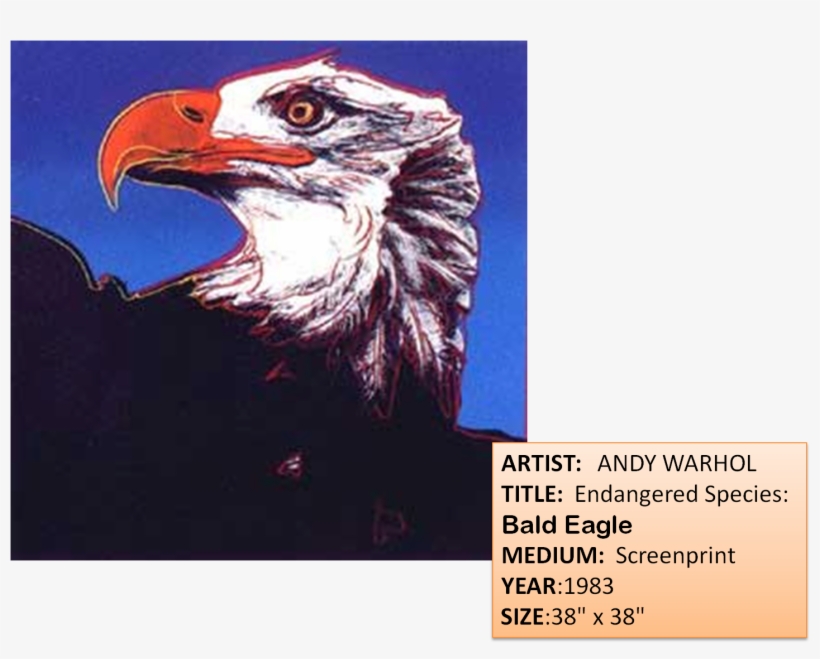 3rd Grade At Eagle Mountain Just Soared To New Heights - Bald Eagle Andy Warhol, transparent png download