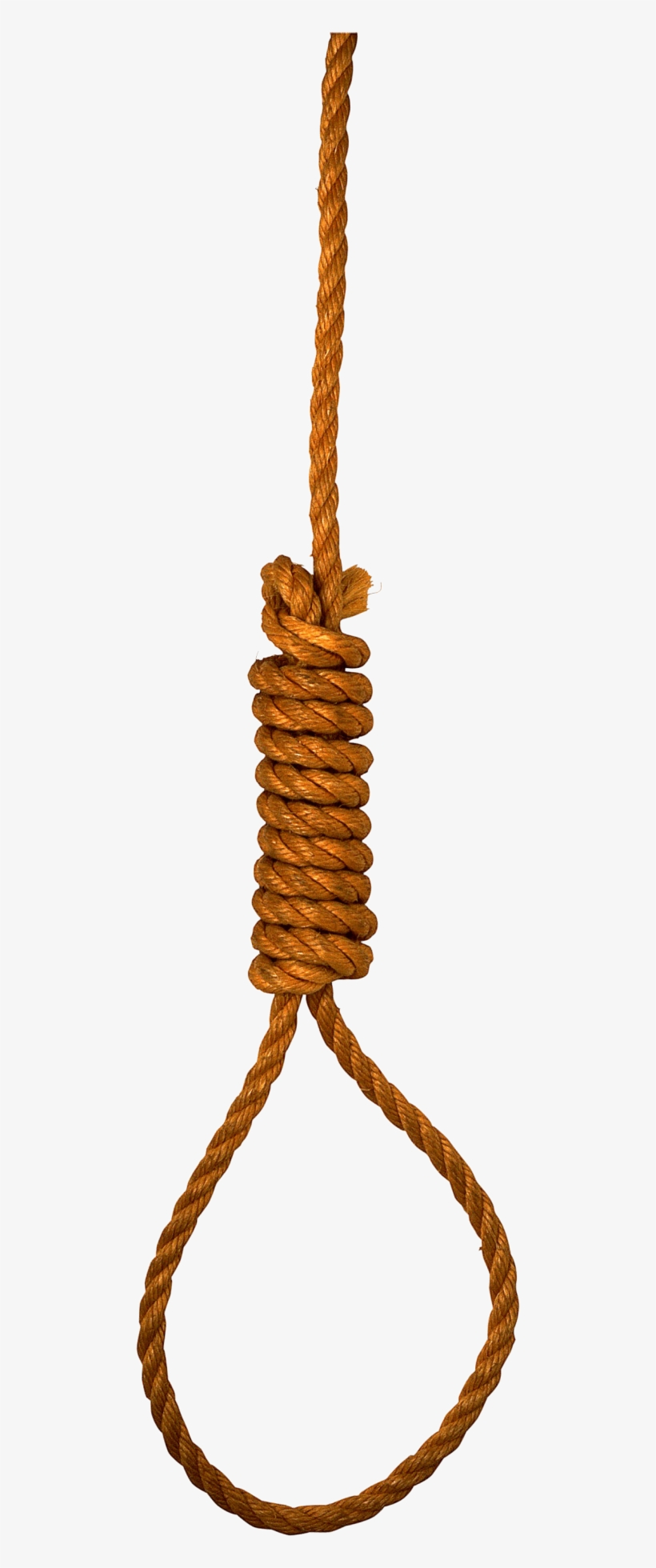 Free Png Rope Png Images Transparent - Петля Png, transparent png download