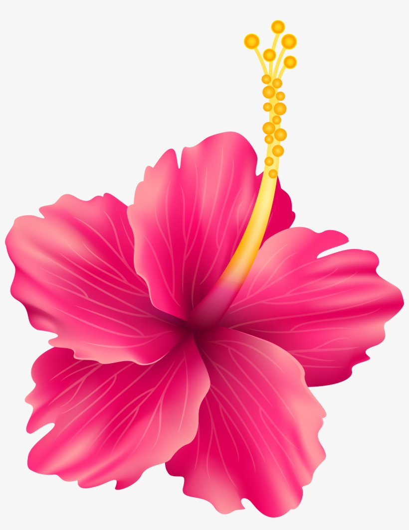 Royalty Free Chinese At Getdrawings Com Free For Personal, transparent png download